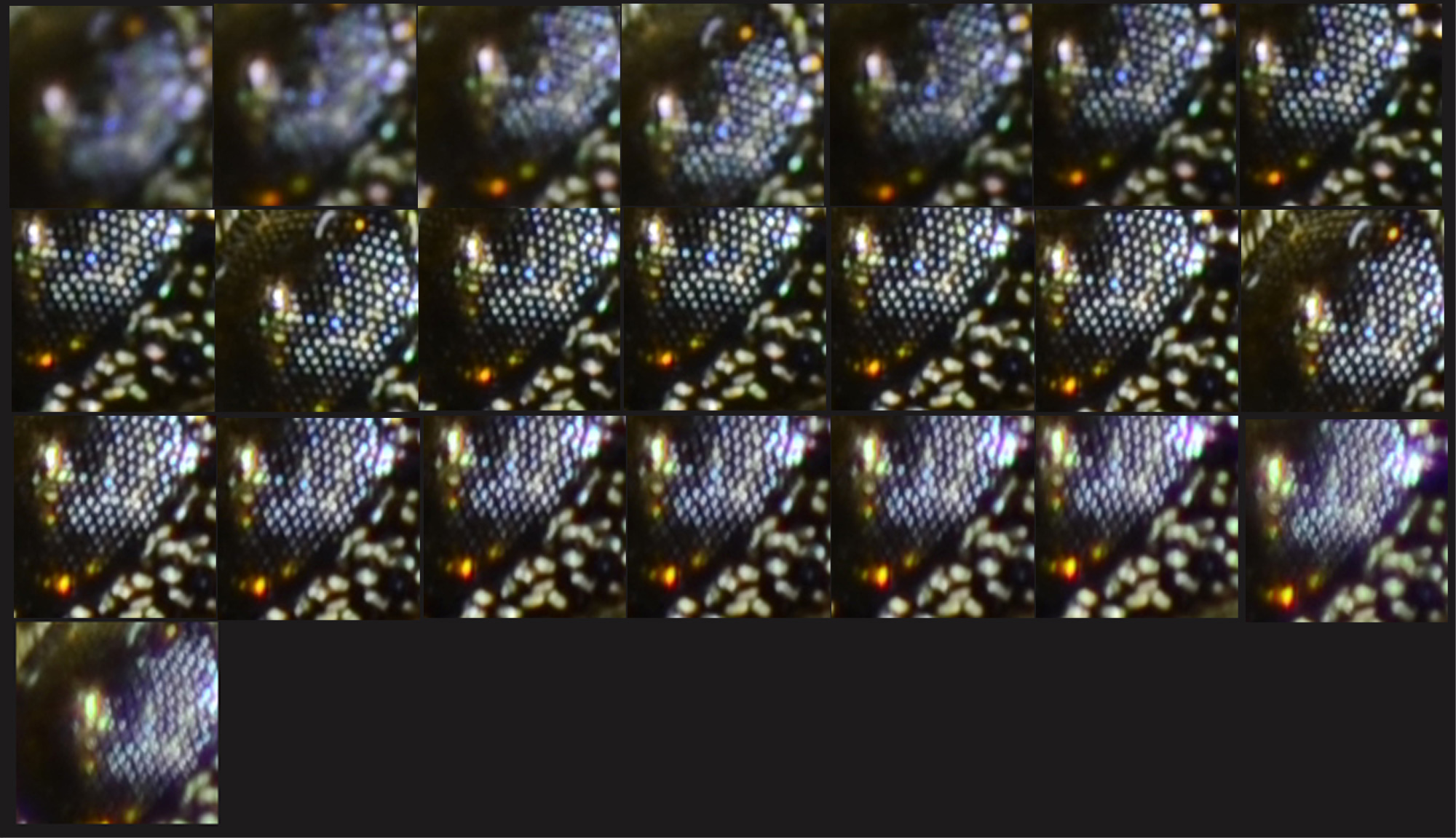 Galerie R&uuml;sselk&auml;fer